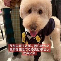 現在の姿に感動