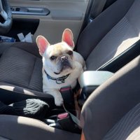 「なにがなんだか…」