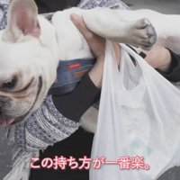 結局、マンションまで抱っこで移動