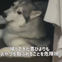 「おやつ取るなよ」