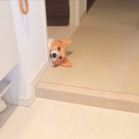 お出迎え