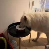 水を飲んでたら…