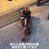 すべての人が自分を好き！？