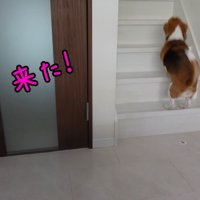 出勤前のママさんとメイちゃん3