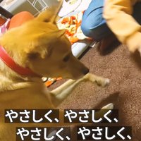 「なるほど！優しくすればいいんだね」