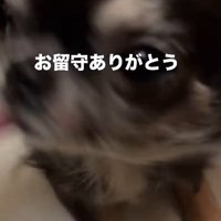 ササちゃんがいるから頑張れる