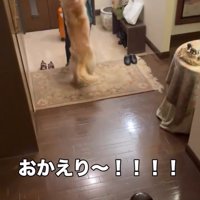 ママに飛びつくハルちゃん