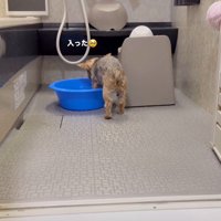 そっと足を入れて…