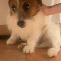 怯えた表情をしていました