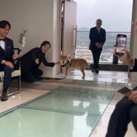 リングドッグを務めるじろー君3