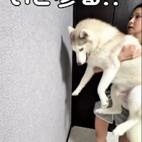 前足が出たら賢い犬