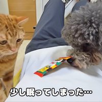 目を覚ましたら…