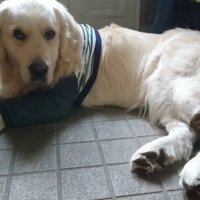 ギンちゃんの表情の変化