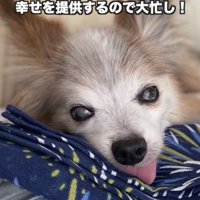 ずーっと大忙し！