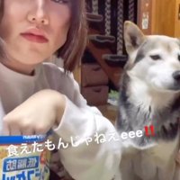 ワンコのオヤツタイム♪