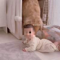 振り向く赤ちゃん