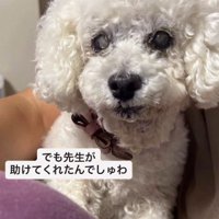 獣医師さんに引き取られた