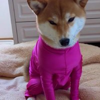 「コレジャナイ…」