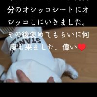 「できたよ！ほめて！」