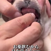 錠剤飲むよ！