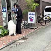 渋々病院の中へ…