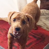 「ただいまぁ」