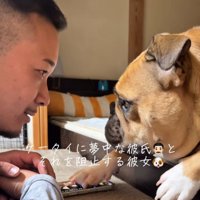 顔を上げて犬に視線を移す男性