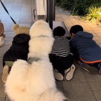 わたまるくんと子どもたち2