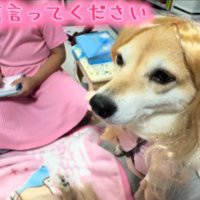 看護師役のシイちゃん♡