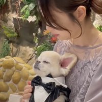 うっすら目を開けて…