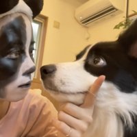 絶妙に合わない目線