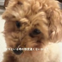 何度でも催促♡