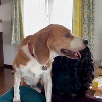 姪っ子ちゃんとの微笑ましい交流