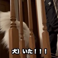 あふれすぎる喜び