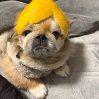 目がしょぼしょぼ…