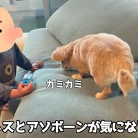 オヤツを食べるハナちゃん＆興味津々の男の子