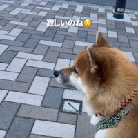 寂しい表情になることも