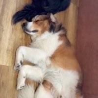 オフの時間はマイペース