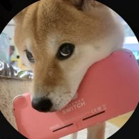 柴犬