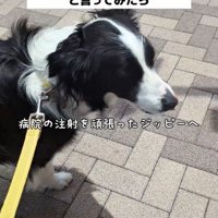 「何食べようかな…」