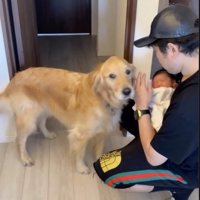 「ちょっと慣れましたよ」