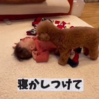 寝かしつけも任せてね