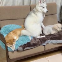 「わたしも混ぜて〜！」