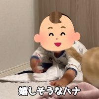 「追いかけっこしよう～！」