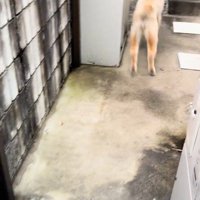 うきうきした足取りで…