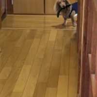 廊下の先には…