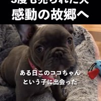 運命の出会いが