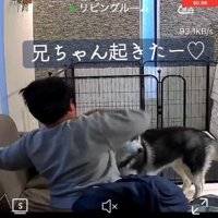 起きた息子さん