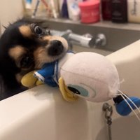 浴槽の中に落として…