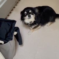 完全に侵入してます